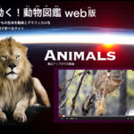 動く！動物図鑑WEB版を制作！