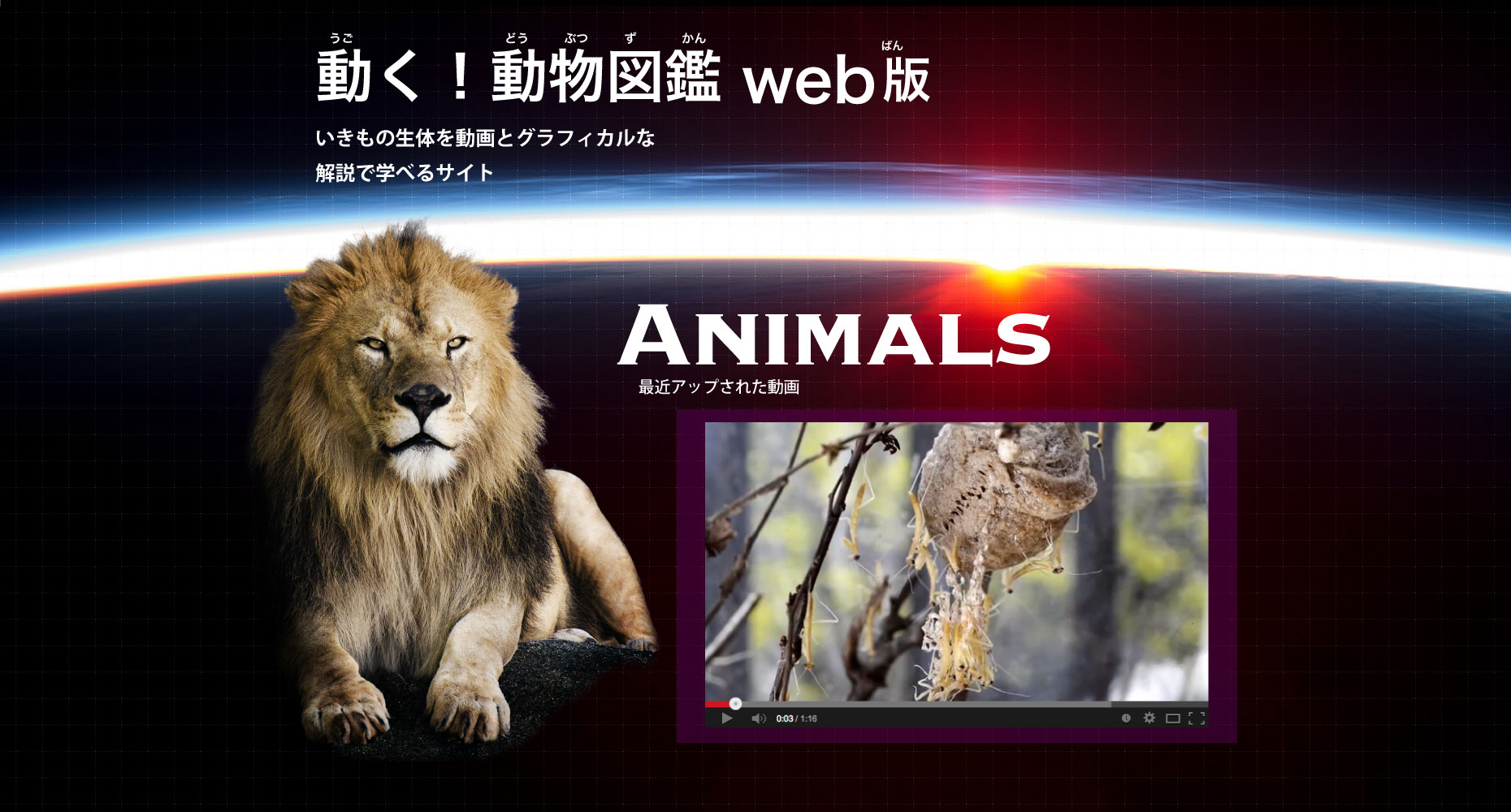 動く！動物図鑑WEB版を制作！
